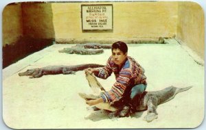 M-2859 Alligator Wrestling At The Musa Isle Seminole Indian Village Miami