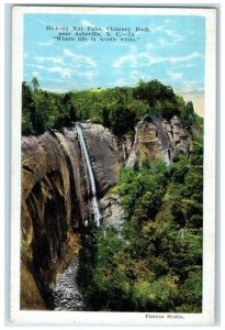 c1930's Hickory Nut Falls Chimney Rock Near Asheville NC Waterfalls Postcard