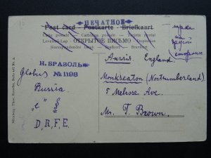 Horse & Dog Theme BROWN HORSE WITH TWO JACK RUSSELL TERRIERS c1912 Postcard