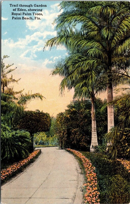 Garden Of Eden Scenic Trail Royal Palm Trees Palm Beach Florida DB Postcard 