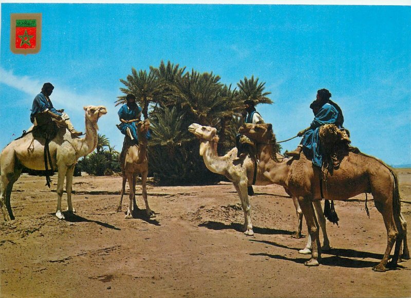 Postcard Africa native ethnic morocco  folklore ritual caravana camel