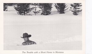 Montana Humour Snowstorm The Trouble With A Short Horse 1990 Real Photo