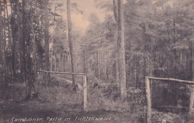 Gumbinnen Partie In Tichtenwalde Prussia Antique Postcard