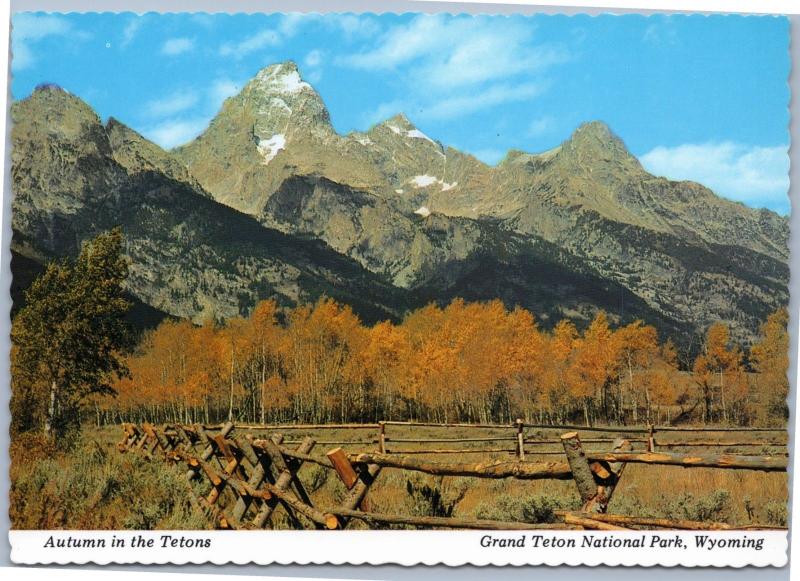 Autumn in the Tetons, Wyoming - Fall foliage and mountains