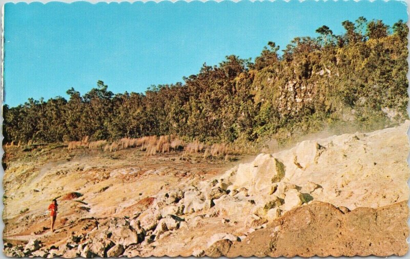 Sulphur Banks Hawaii Volcanoes National Park HI Unused Vintage Postcard H6