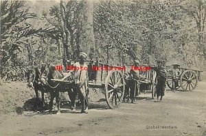 Dutch East Indies, Indonesia, Grobakvoerders, Men with Wagons, Costume