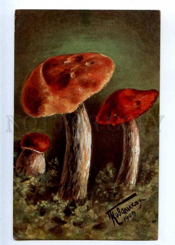 224925 RUSSIA KOVALSKAYA red mushroom Richard #4189 postcard