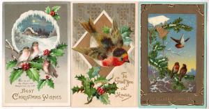 3 - Xmas Cards with Birds