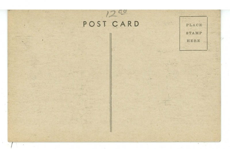 IL - Chicago. Riverview Amusement Park, Comet Roller Coaster ca1909(creases)