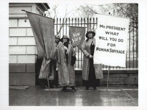 Suffragette in 1917 At White House USA Votes For Women New York Postcard