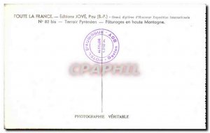 Old Postcard Pau Terroir pyreneen high mountain Grazing Sheep