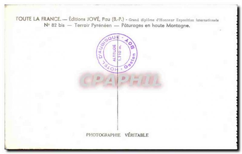 Old Postcard Pau Terroir pyreneen high mountain Grazing Sheep