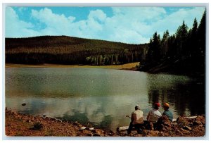 c1960's La Baron Lake Beaver Mountains Beaver Utah UT Vintage Postcard