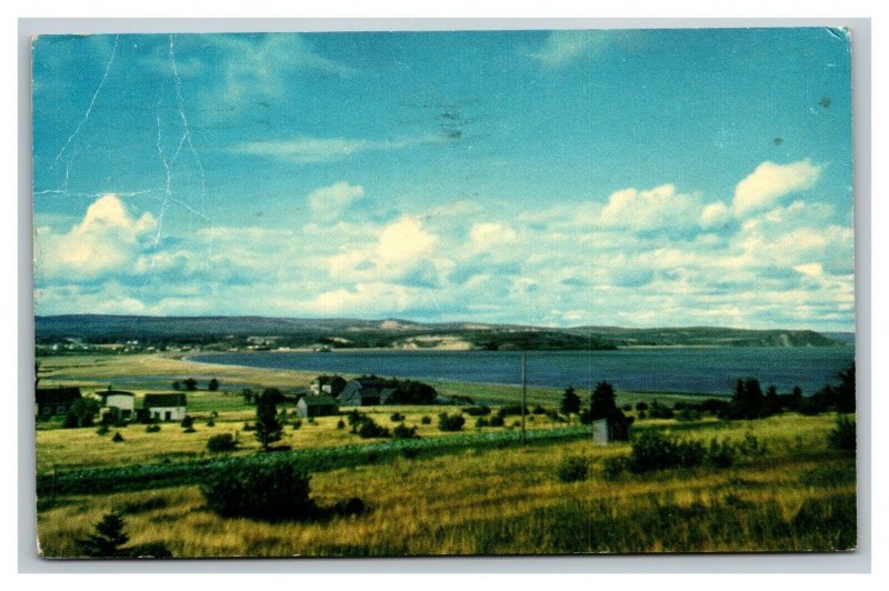 Vintage 1955 Postcard Village of St. Martins West Quaco New Brunswick Canada