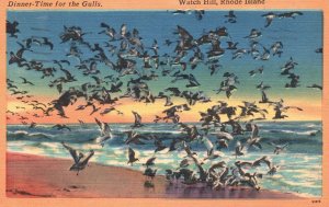 Vintage Postcard 1955 Dinner Time For The Gulls Watch Hill Rhode Island Tichnor