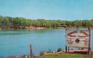 Arkansas Mammoth Spring Located At Mammoth Spring