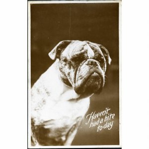 Philco 'Animal Post Card' Real Photo Postcard 'Haven't had a bite today',
