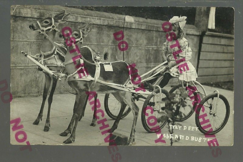 Astoria OREGON RPPC 1911 ADVERTISING Babe & Buster TRAINED DEER CART Cute Girl!