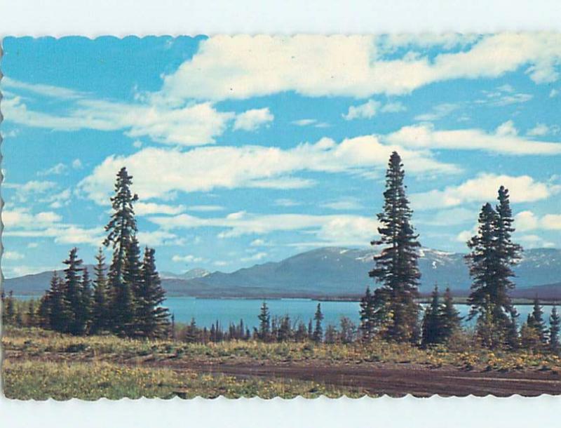 Pre-1980 LAKE SCENE Dezadeash Lake - Near Whitehorse Yukon Territory YT F3193