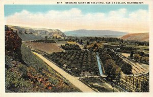 WA, Washington  YAKIMA VALLEY ORCHARD SCENE c1940's Farming~Agriculture Postcard