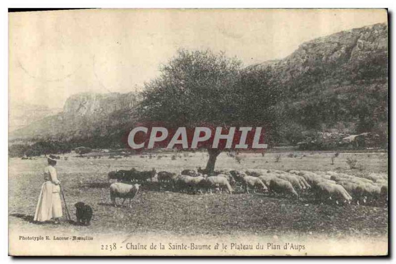 Old Postcard Chain Sainte Baume and the Plateau Sheep Plan of Aups