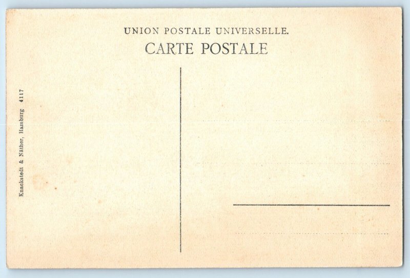 Finland Postcard View From Puolalabacken Nakoala Puolalan Maelta c1910