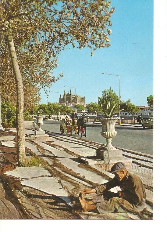 Postal 050277 : Mallorca (Baleares) Espa?. Palma. La Catedral desde el Paseo ...