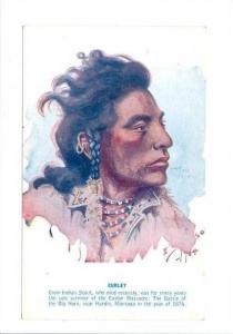 LP71    Native American Indian, old Postcard,  Artist E. S. 