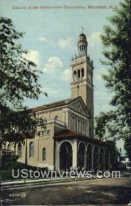 Church of the Immaculate Conception in Montclair, New Jersey