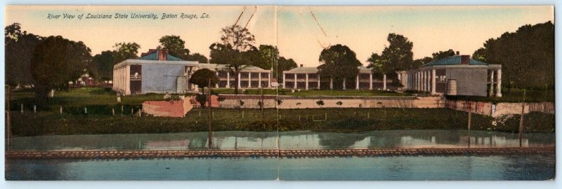 Double Postcard BATON ROUGE, LA ~ Handcolored LOUISIANA STATE UNIVERSITY c1910s
