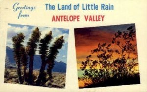 Greetings From - Antelope Valley, CA