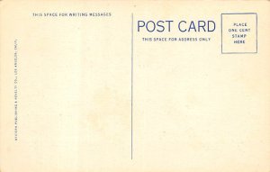 Cyclone Racer and Beach Crowds Long Beach CA