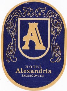 Czechoslovakia Luhacovice Hotel Alexandria Vintage Luggage Label sk3355