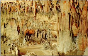 Florida Marianna Florida Caverns State Park Cathedral Room