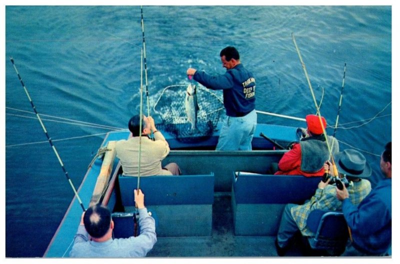 Salmon Fishing Oregon Coast Fishing Postcard