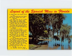 Postcard Legend of the Spanish Moss in Florida USA