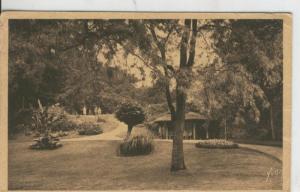 Postal 008585: Vichy, Le parc des Celestins