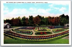 Vtg Springfield Massachusetts MA Hot House & Flower Beds in Forest Park Postcard