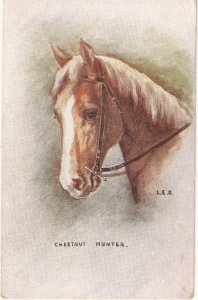 L.E.D.Chesnut Hunter Horse Nice old vintage English postcard