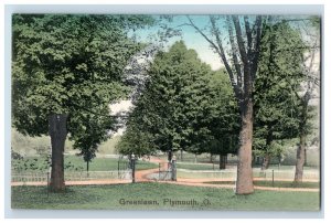 C.1910 Greenlawn Cemetery Plymouth Ohio Scene Hand Colored Postcard 2 P141