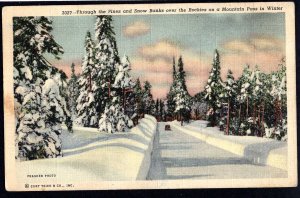 CO Through the Pines Snow Banks over the Rockies Mountain Pass in Winter pm1948