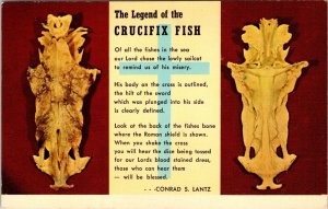 Legend of the Crucifix Fish Conrad S Lantz Gulfport Marine Museum Postcard