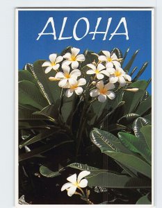 Postcard Aloha, Hawaii