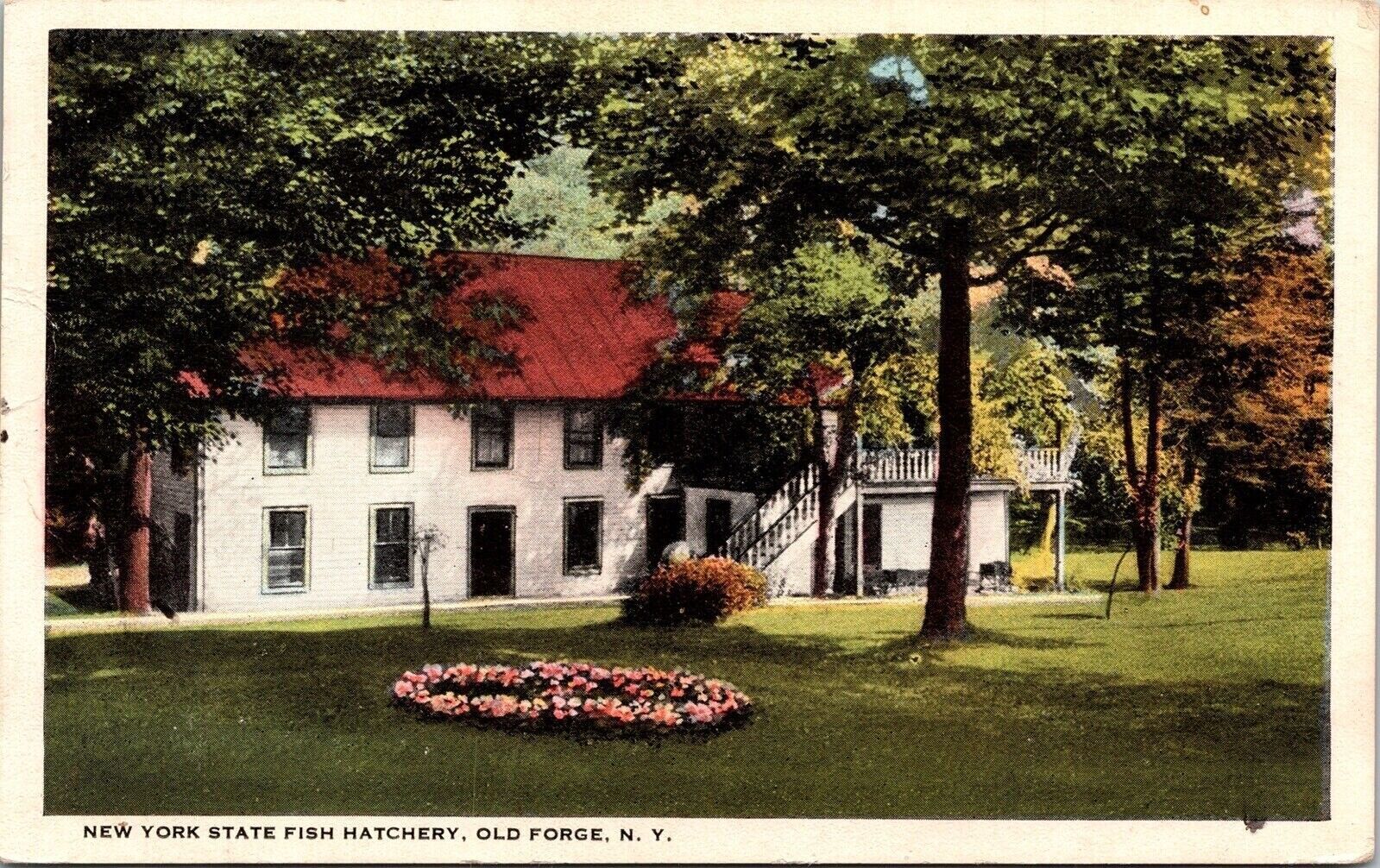 New York State Fish Hatchery Old New York Ny Wob Note 1923