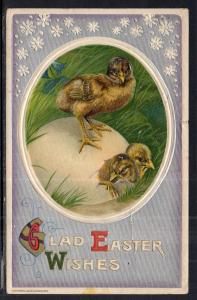 Glad Easter Wishes Chicks BIN