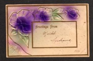 IN Greetings from MARKLE INDIANA Postcard PC Pansies