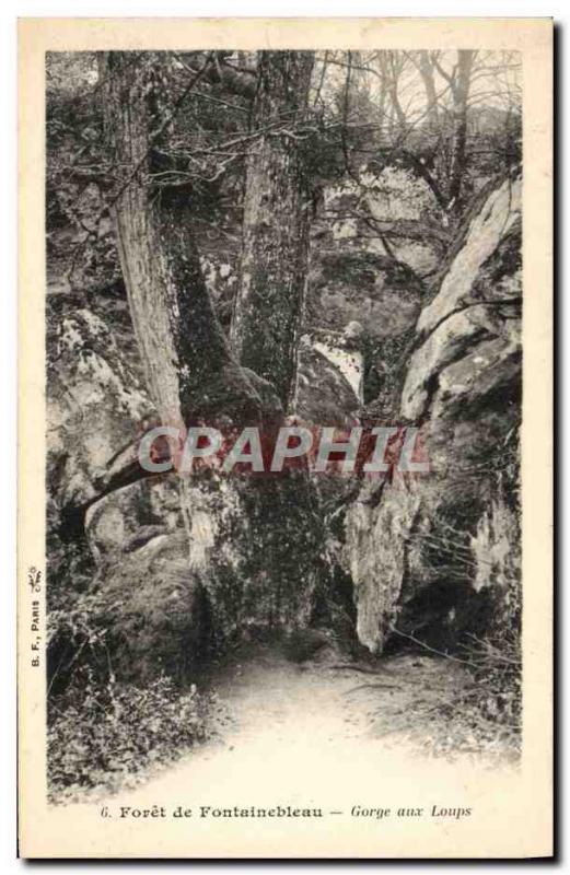 CPA Foret De Fontainebleau Gorge Aux Loups