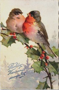 Merry Christmas European Robin Vintage Postcard C175