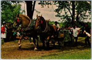 VINTAGE POSTCARD SCENE AT THE BAVARIAN SUMMER FESTIVAL LAKEWOOD PARK BARNESVILLE