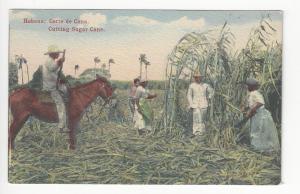 Vintage Caribbean Advertisement Postcard - See Ad On Reverse (AH36)